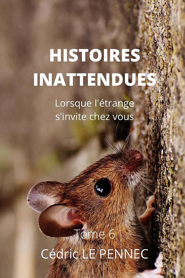 HISTOIRES INATTENDUES Tome 6